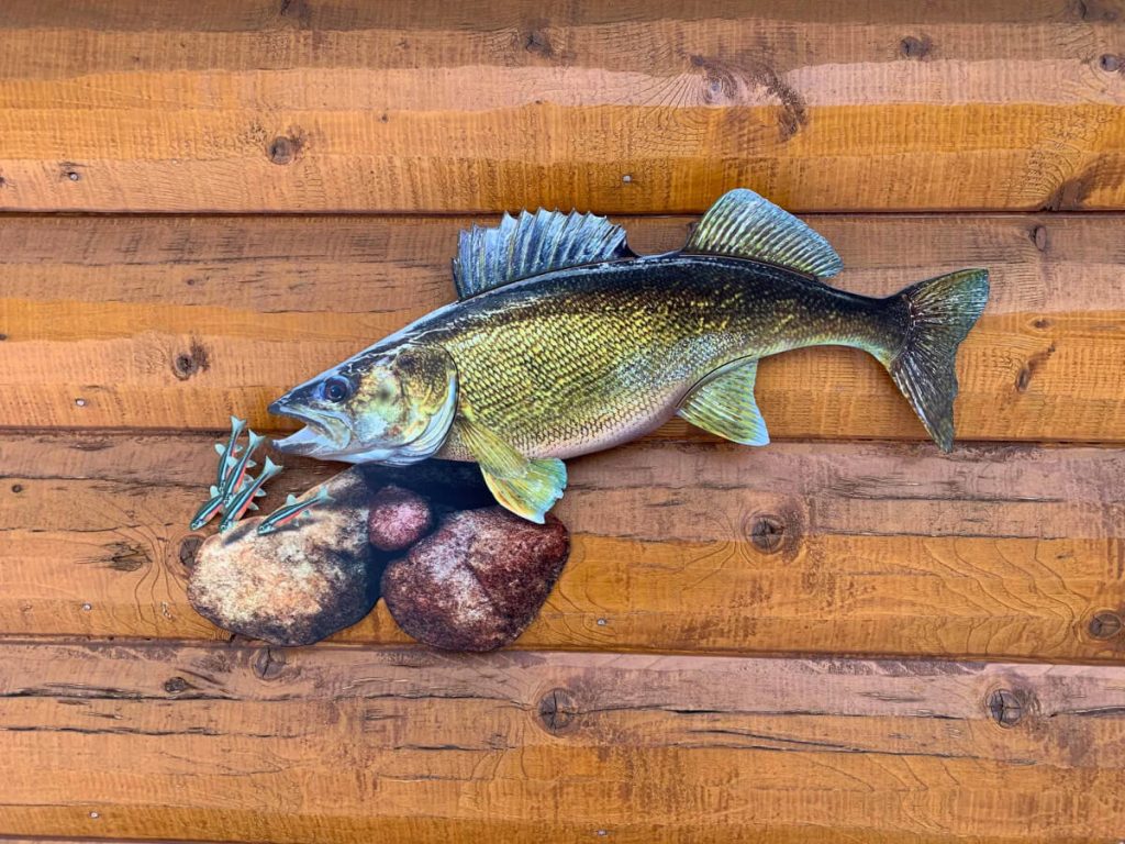 Walleye Replica Mount 24 Inch Walleye Replica Scene, Fish Art, Fish