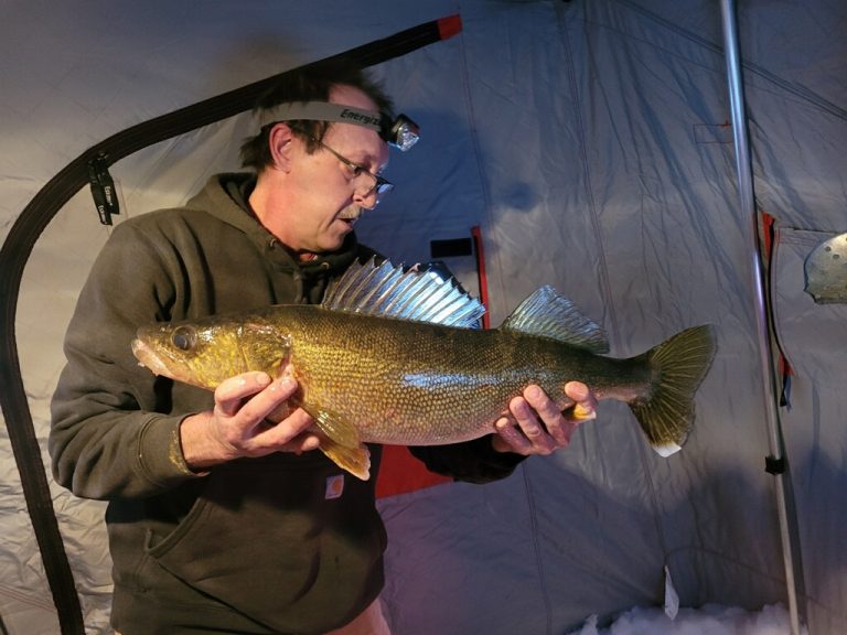 How Long Do Fish Skin Mounts Last? Impressive Facts + 3 Expert Tips