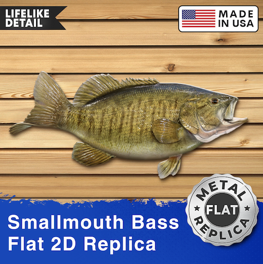 20 Inch 2D Smallmouth Bass Replica Arta Reelistic Replicas